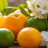 Citrus & Fresh