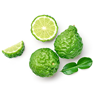 Bergamot