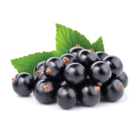 Black Berries