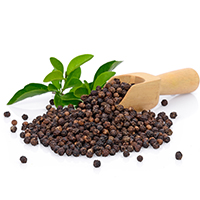 Black Pepper