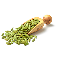 Cardamom