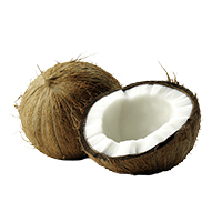 Coconut