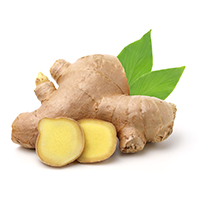 Ginger