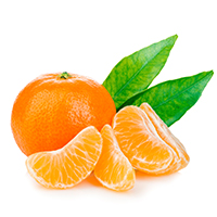 Mandarin