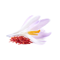 Saffron